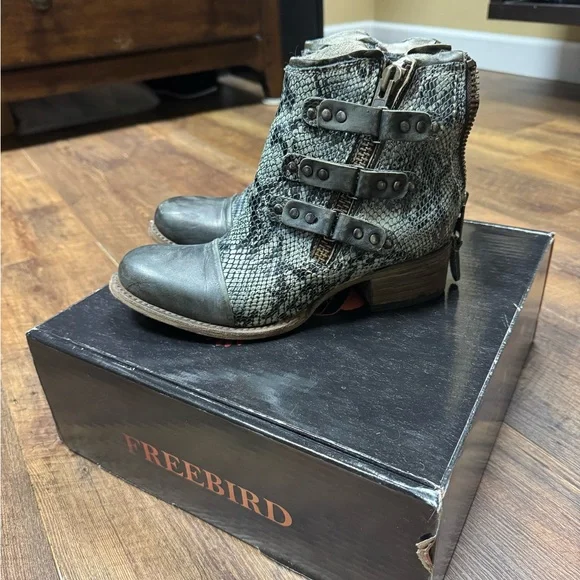 Freebird olive grecko 8 - Picture 3 of 5